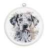 luca S Skaičiuojamas kryželiu siuvinėjimo rinkinys su lanku „The Dalmatian“ 15x16cm SBC208