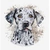 luca S Skaičiuojamas kryželiu siuvinėjimo rinkinys su lanku „The Dalmatian“ 15x16cm SBC208
