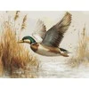 luca S Ristinukai "Petit Point Kit Golden Flight" 21 x 16 cm SG730