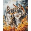 luca S Kryželių siuvinėjimo rinkinys Miško sargiai 25x32cm SBM3022