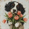 luca S Kryželiu siuvinėjimo rinkinys „The Cocker Spaniel Puppy“ 27x27cm SBU5067