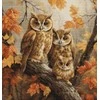 luca S Siūlų kryželiu rinkinys "Pelėdų šeima" 27x29cm SBU5045