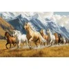 luca S Kryželiu siuvinėjimo rinkinys "Free Spirit" 30x20cm SG704