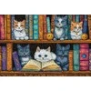 LetiStitch luca S Kryželiu siuvinėjimo rinkinys Knygų lentyna 32x22cm SLETIL9917