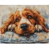 luca S Kryželiu siuvinėjimo rinkinys "Cocker Spaniel" 32x25cm SBU5058