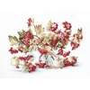 luca S Guelder Rose SB2272