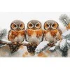 luca S Kryželių siuvinėjimo rinkinys "Pelėdos žiemos tyloje" 40x24,5cm SBU5077