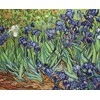 luca S Irisai, Van Gogho reprodukcija SB444