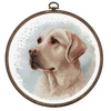 luca S Siuvinėjimo kryželiu rinkinys su lankeliu The Labrador 16x16cm SBC211