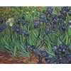 luca S Irisai, Van Gogho reprodukcija SG444