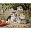 luca S Petit Point rinkinys "Katės" SG556