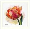 Merejka Siuvinėjimo kryželiu rinkinys "Papūgos tulpė" 21x21 SK248