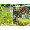 Merejka Siuvinėjimo kryželiu rinkinys Senas obuolių medis 29,5x38,5 cm SK255