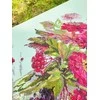 Merejka Rugsėjo Spalva 29x26.5 SK221