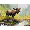 Merejka Kryželių siuvinėjimo rinkinys "Woodland Morning" 29x52 SK245