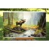 Merejka Kryželių siuvinėjimo rinkinys "Woodland Morning" 29x52 SK245