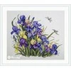 Merejka Iris SK122B