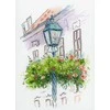 Orchidea Siuvinejimo rinkinys SA-002
