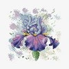 Orchidea Siuvinejimo Rinkinys SM-383