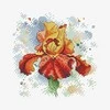 Orchidea Siuvinejimo Rinkinys SM-384