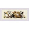 Riolis Kryželio siūlų rinkinys "Kačiukai" 40x15 SR2180