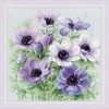 Riolis Kryželiu siuvinėjimo rinkinys "Violetiniai flioksiniai gvazdikai" 30x30 SR2176