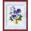 Riolis Violas 792