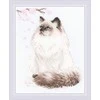 Riolis Meow Zen SR1878