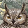 Riolis Siuvinėjimo kryželiu rinkinys "Erelis pelėda" 0038 PT