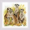 Riolis Surikatos SR1761