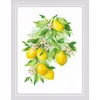 Riolis Citrinų 30x40 SR2054
