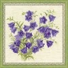 Riolis Bellflower 1557