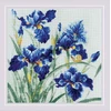 Riolis Kryželiu siuvinėjimo rinkinys Mėlyni ir irizai 30x30 SR2102