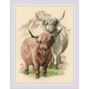 Riolis Highland Buddies SR2090