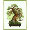 Riolis Bonsai pušis ilgaamžiškumo linkėjimas 1037