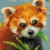 Riolis Raudonoji Panda 1627