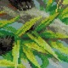 Riolis Raudonoji Panda 1627