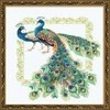 Riolis Peacocks 767