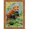 Riolis Raudonoji Panda 1627