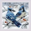 Riolis Mėlyna Jays SR1925