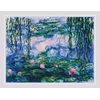 Riolis Vandenlilijos - pagal C. Monet paveikslą SR2034