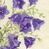Riolis Bellflower 1557