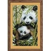 Riolis Panda su jaunikliu 1159