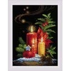 Riolis Siuvinėjimo rinkinys 18x24 SR2056