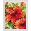 Riolis Hibiscus SR1967
