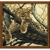 Riolis Leopard 937