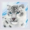 Riolis Sniego leopardas SR1886