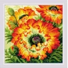 Riolis Ugniniai aguonos 40x40 SR2080