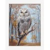 Riolis Kryželio rinkinys "Wildwood Owl" 30x40 cm SRA1016