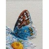 Riolis Kryželio siūlų rinkinys Fragile Beauty 15x15 SR2220